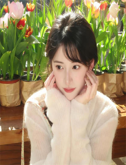 解码完美假期第2季：从剧情到主题的探索之旅